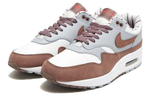 Кроссовки Nike Air Max 1 Shima Shima