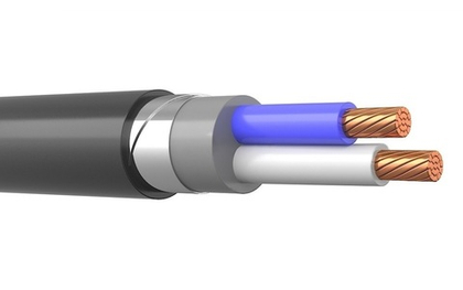 Кабель ВБШвнг(A)-LS 2х70-1