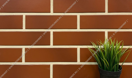 Paradyz Cloud Rosa - Фасадная плитка гладкая 245x65x7