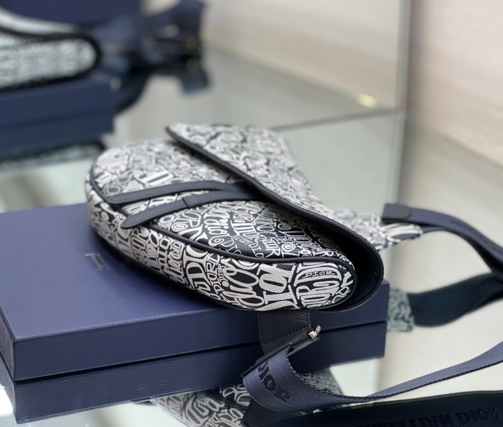 Christian Dior Saddle 26 cm