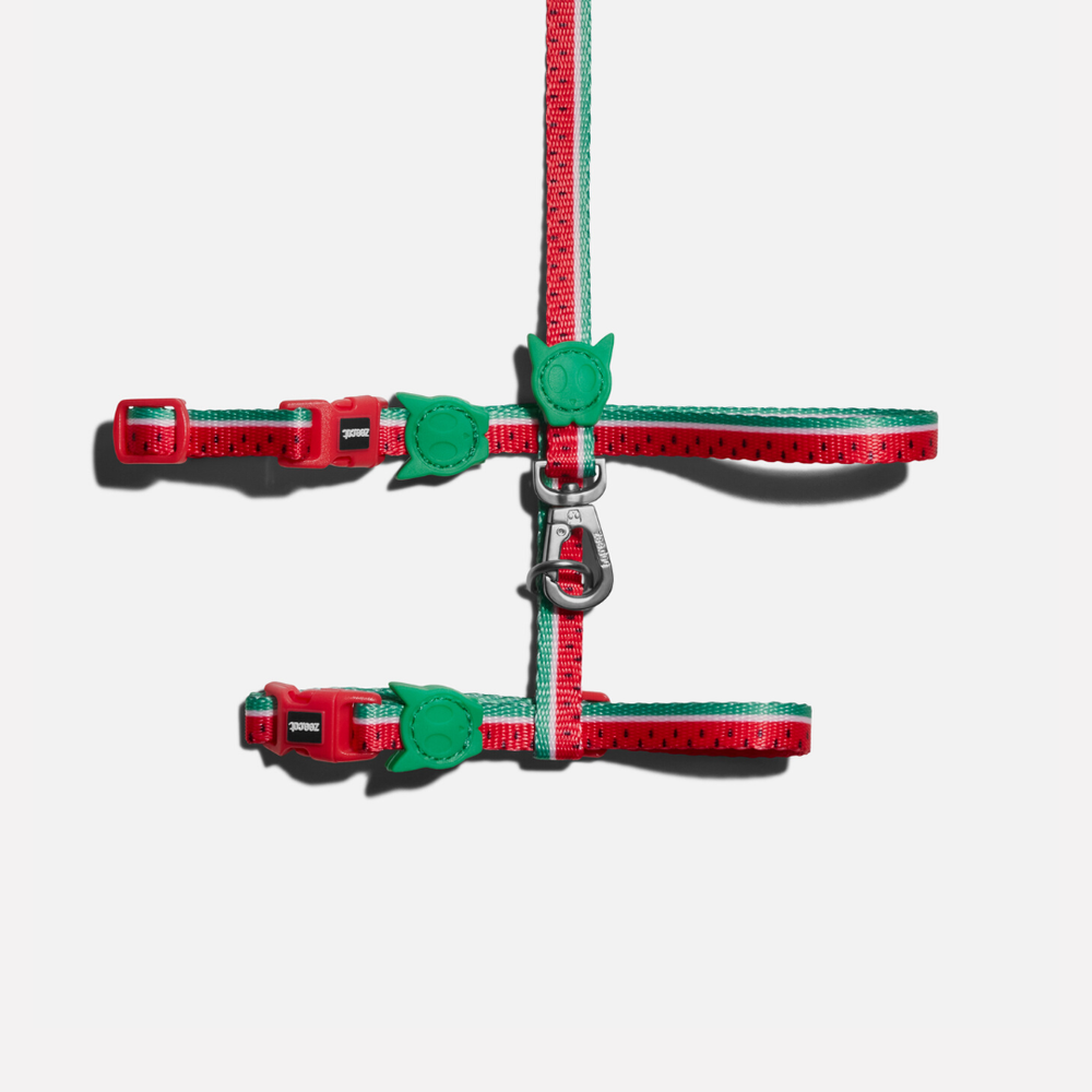 Шлейка+поводок LOLA Zee.Cat