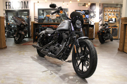 Harley-Davidson  Sportster Iron 1200 2020
