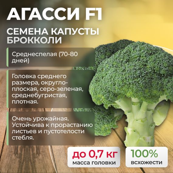 АГАССИ F1 семена капусты брокколи (Rijk Zwaan) оптом
