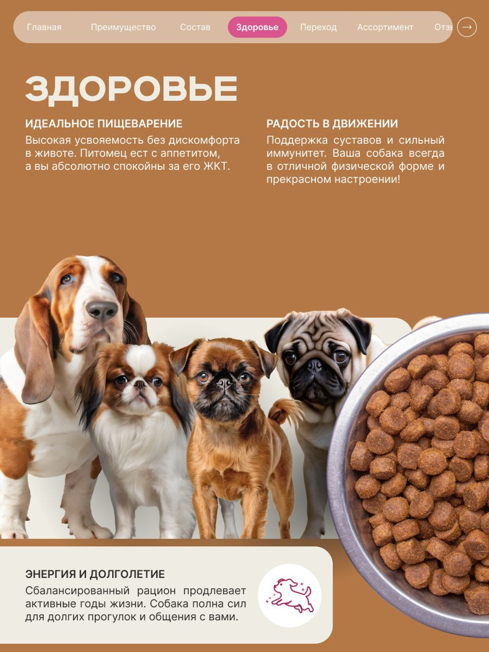 Корм для взрослых собак породы Мопс, с говядиной, 800 гр, QUATTRO