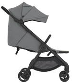 Детская коляска Anex iQ Basic NT 2 в 1 Loft