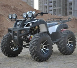 Квадроцикл GRIZZLY 250
