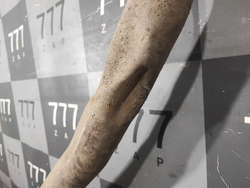 Глушитель BMW X5 (F15) 13-18 Б/У Оригинал 18308596379