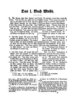 Polyglotten-Bibel zum praktischen Handgebrauch. Band 1. Part 1 | Ewald Rudolf Stier