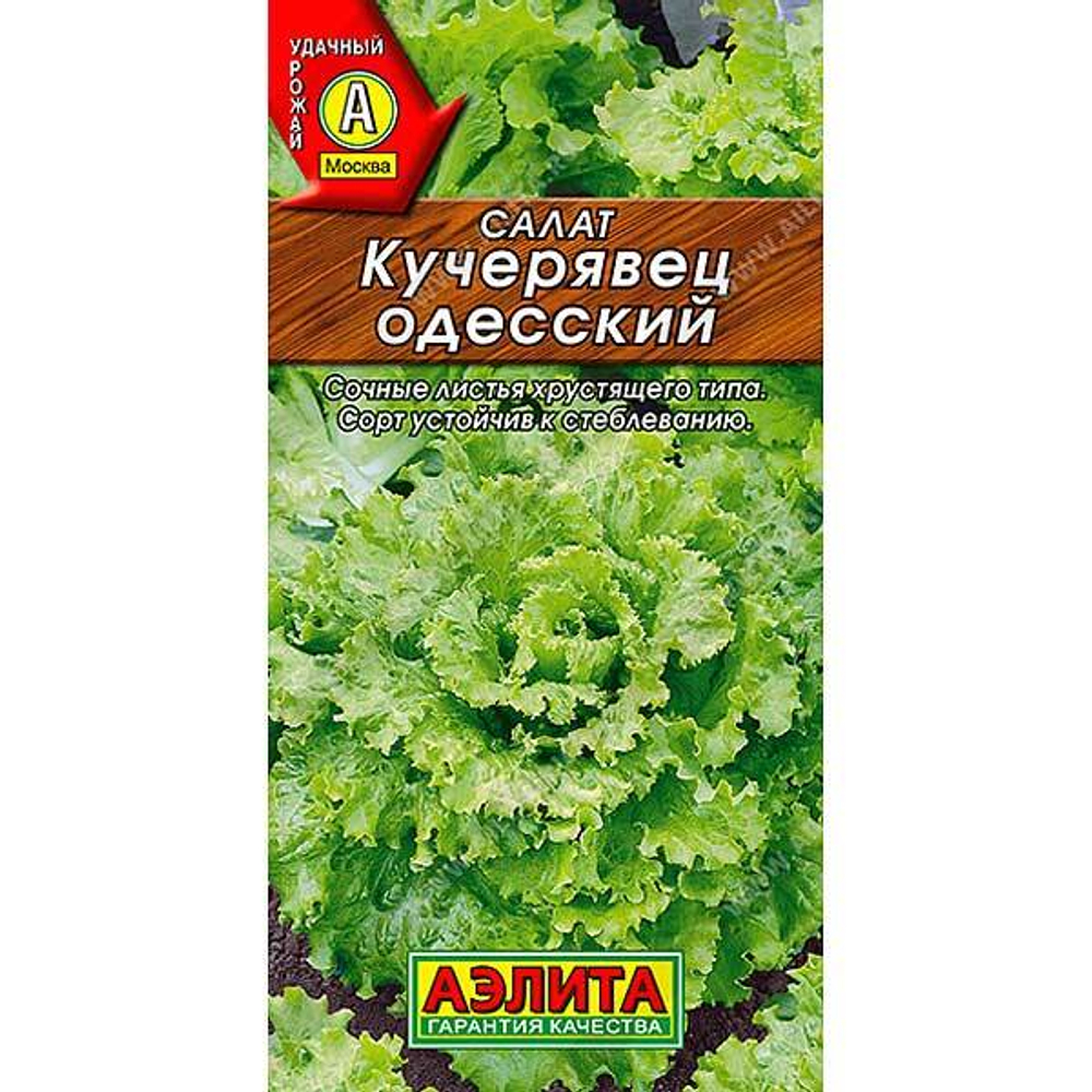 Салат Одесский кучерявец Аэлита