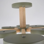 Потолочная люстра Imperiumloft TURNA 228861-26