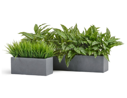 Кашпо TREEZ ERGO - серия Just - Узкий низкий прямоугольник - Светло-серый камень