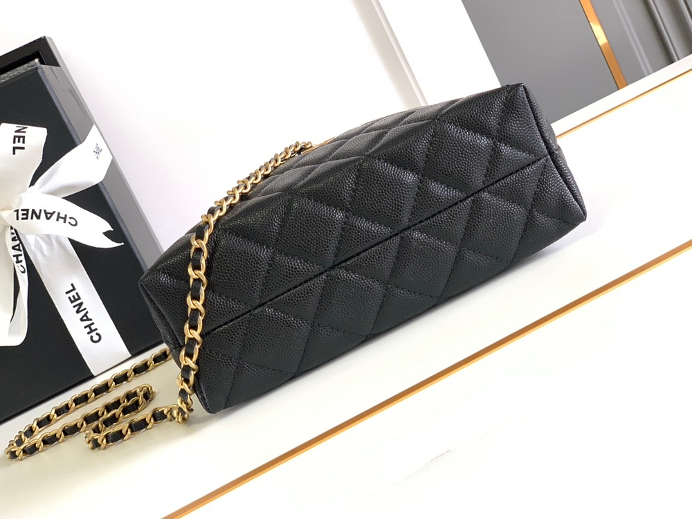 Chanel Bag 19 cm