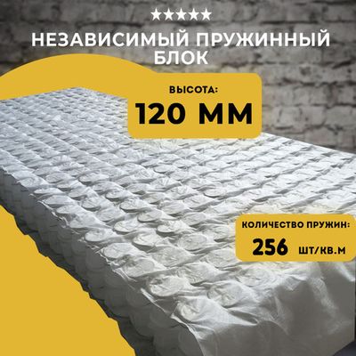 НПБ Высота 120