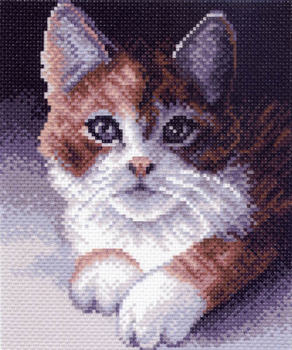 Характеристики товара:¶В комплекте: канва с нанесенным рисунком, руководство по вышиванию. Размер ка
