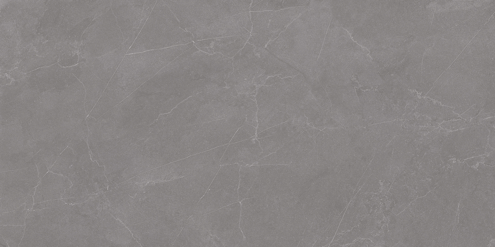 Staro Rizzi Valencia Grey Matt 60x120