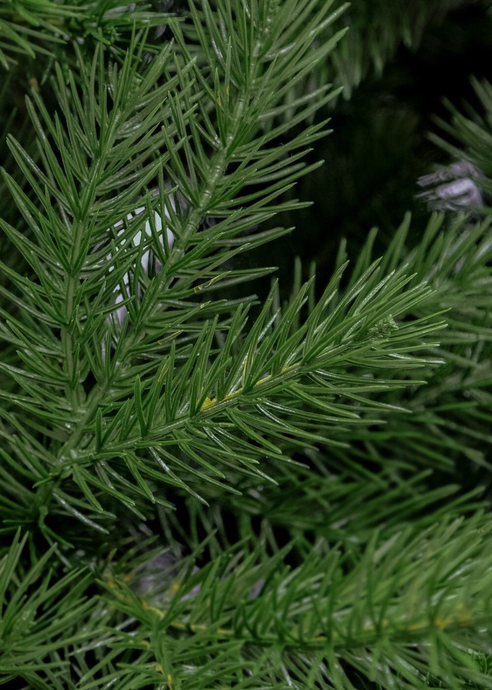 Ель искусственная «Алтея» (Литая хвоя) 230 см / 2,3 м