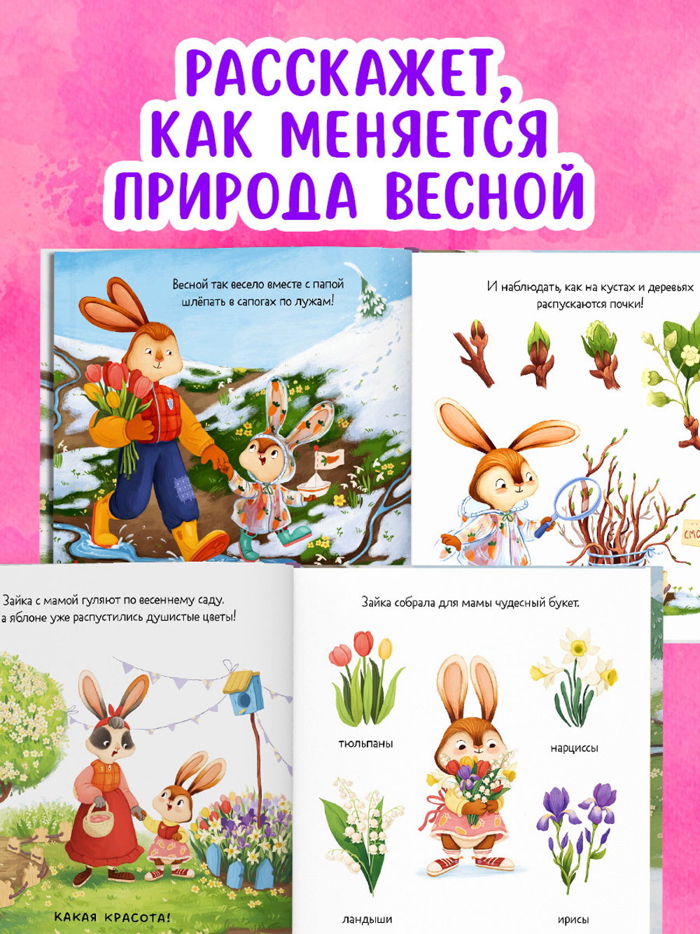 Книжки-картинки. Зайка и чудесная весна