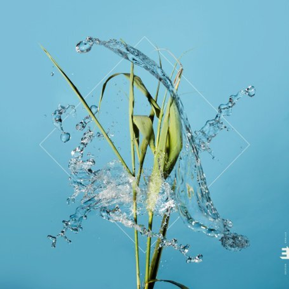 Fergus McCreadie - Stream (Crystal Clear LP)