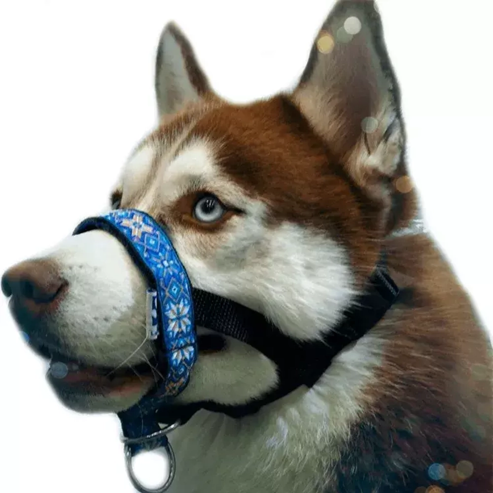 Недоуздок "Поларис" для собак