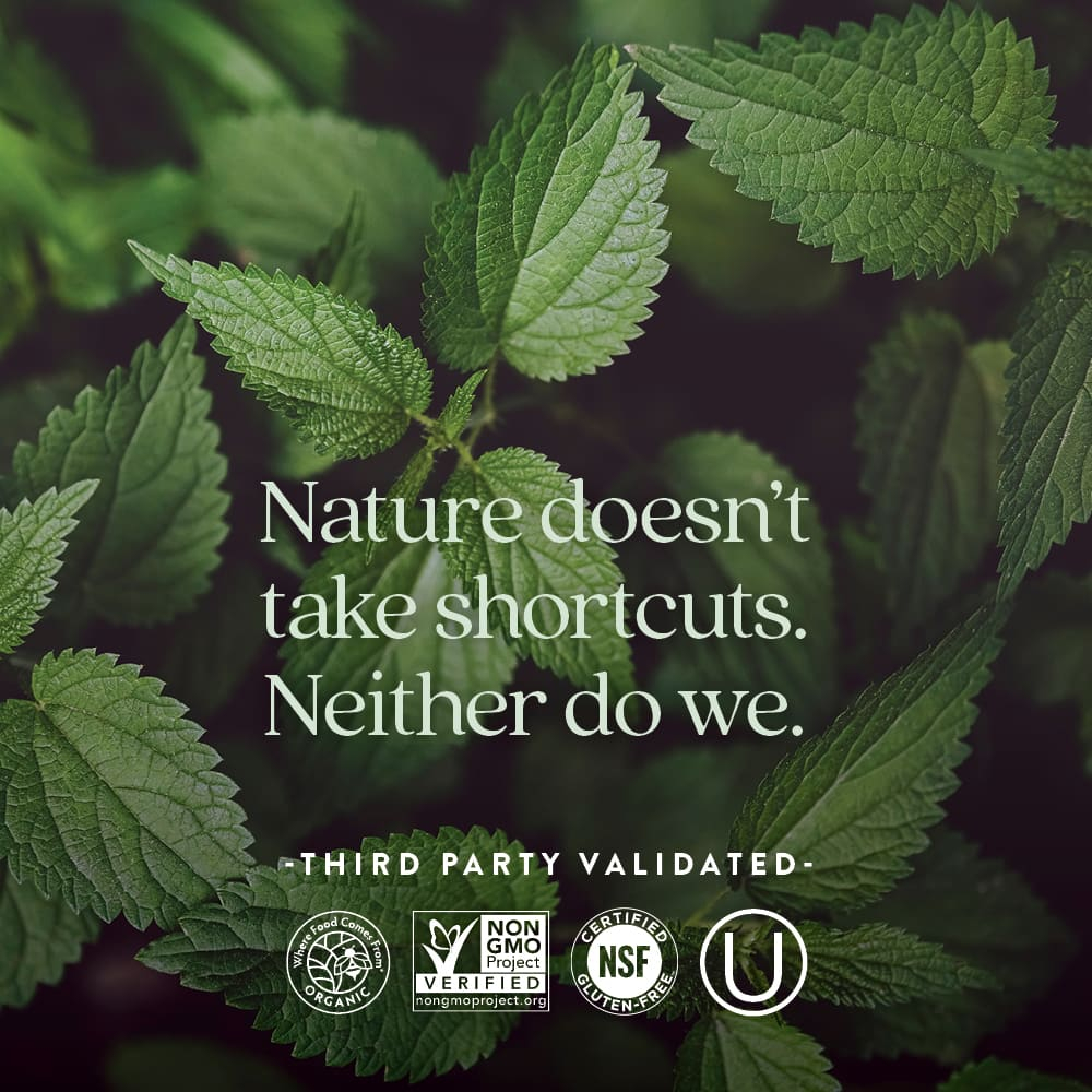 New Chapter, улучшенный мультивитаминный комплекс для женщин, 120 вегетарианских таблеток