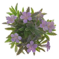 GAEM Цветочная композиция, L10 W10 H17 см