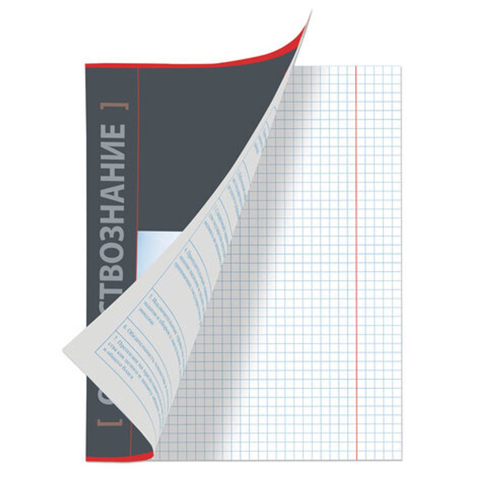 Тетрадь предметная NAVIGATOR 48 листов, выборочный лак, ОБЩЕСТВОЗНАНИЕ, клетка, подсказ, BRAUBERG, 403537