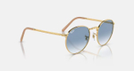RAY-BAN NEW ROUND RB3637 001/3F