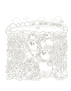 Panda Family's Four Seasons. Coloring Book