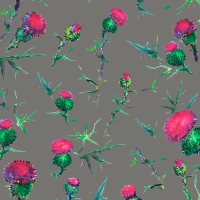 Чертополох на сером фоне