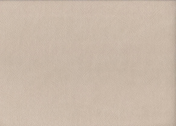 Велюр Карат 02