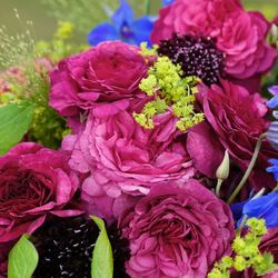 Каффи Фассетт (Kaffe Fassett)