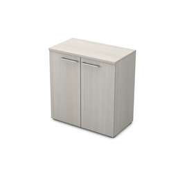 9НШ.023.1 Шкаф низкий (800*450*845)