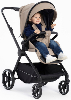 Детская коляска Rant Moss 2 в 1 Beige