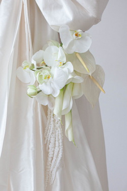 White Delight
