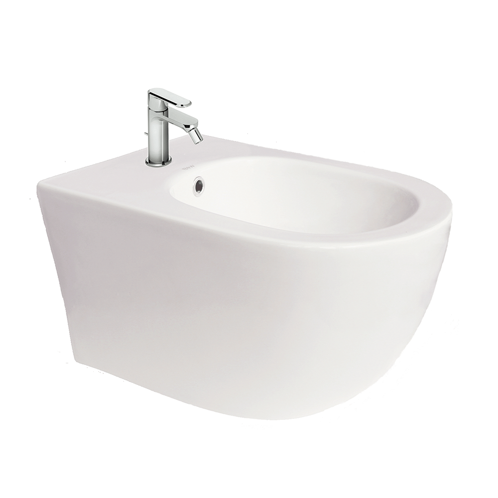 Подвесное биде B&W W-701B Fixing screw (500x390x345)