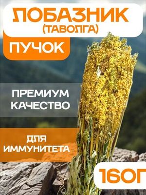 Таволга (пучок)