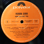 Robin Gibb / How Old Are You? (LP)