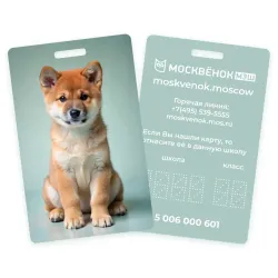 Карта Москвёнок DOGS №2 (проход + питание)