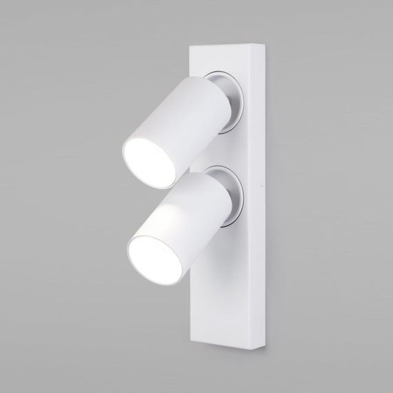 Светодиодный спот Eurosvet Flank 20139/2 Led белый