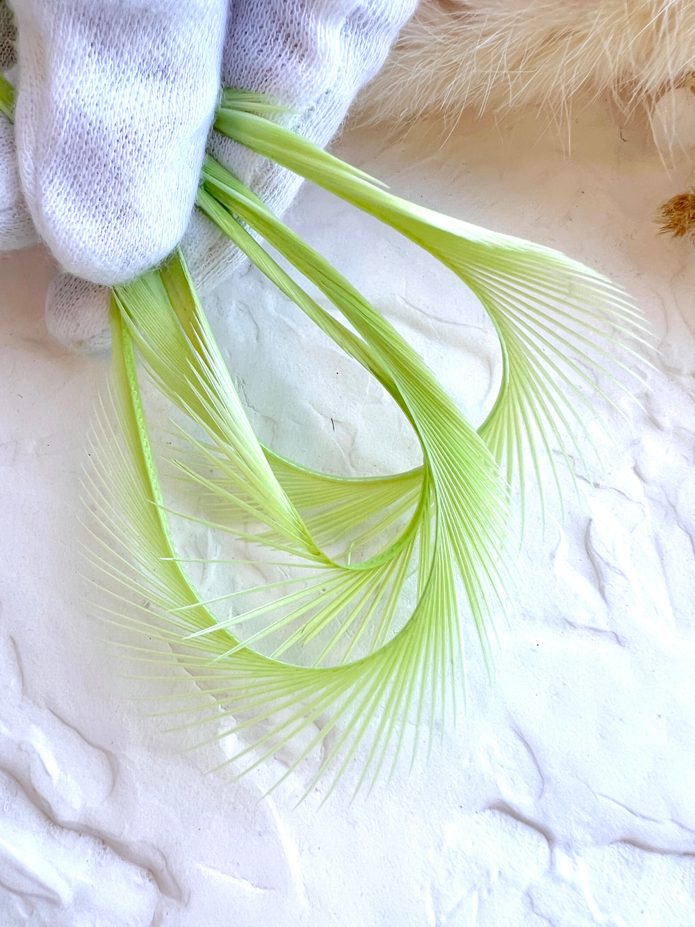 Гусиное перо, Светло-салатовый (5 шт)