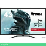 Игровой монитор Iiyama G-Master Red Eagle G4380UHSU-B1