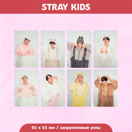 Сет карточек / STRAY KIDS #286