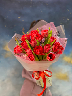Букет № 44 из пионовидных красных Тюльпанов