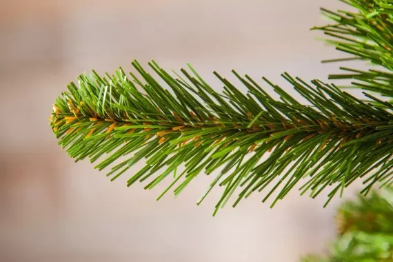 Елка Императрица с шишками 215 см., мягкая хвоя, Triumph Tree (73239)