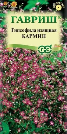 Гипсофила