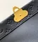 Сумка Louis Vuitton Vavin PM черный