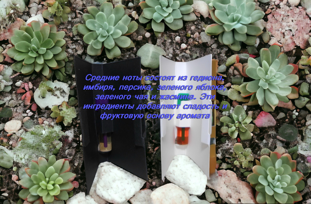 Парфюмерная вода унисекс СвеТLана Mr. Newl C&M030-00 1 ml