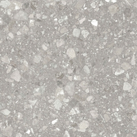 Terrazzo matt grey PG 01 600х600 (1-й сорт)
