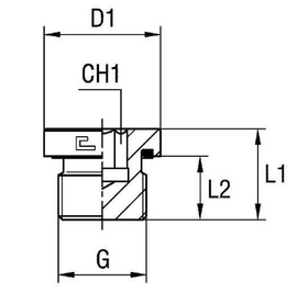 Заглушка VE (Ш) BSP 3/4