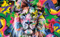 Коллекция Животные